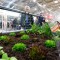 GartenMunich(1)1447145269