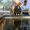 GartenMunich(2)1447145268