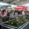 GartenMunich(4)1447145266