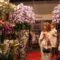 Design&DecorSt.Petersburg11463028017