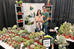 Austin Home & Garden Show