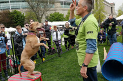 Bark 2023