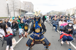 Sakura Matsuri Japanese Street Festival