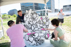 Blossom Kite Festival