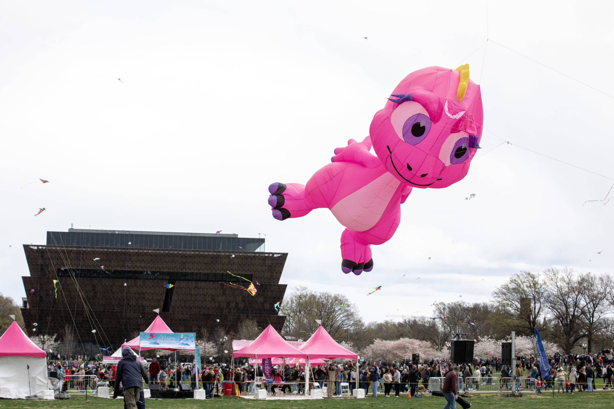 Blossom Kite Festival 2023: 2 Days of Fun in the Washington Monument Grounds