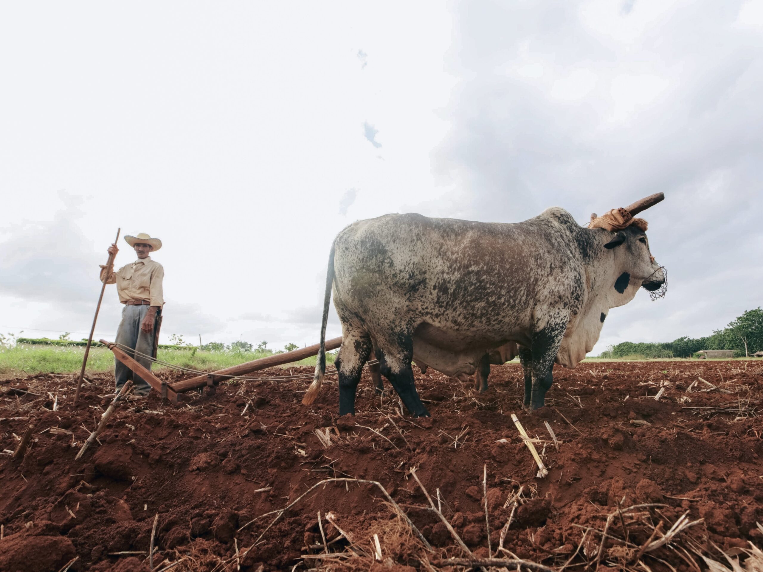 Discover 2023’s Best: Top 10 Must-Visit Agriculture Trade Shows for Farming Innovations and Trends