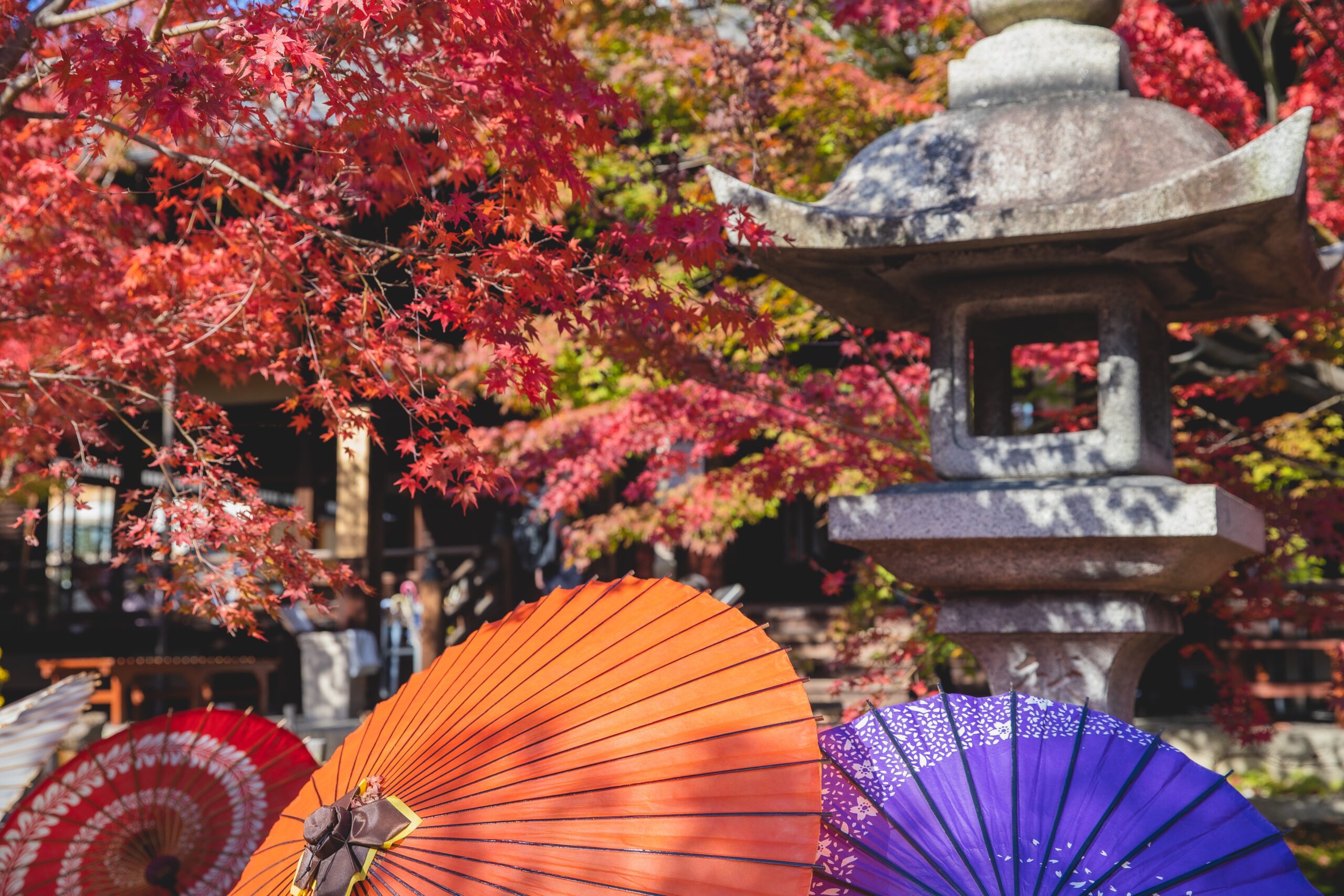 Japan Fall Foliage Festivals