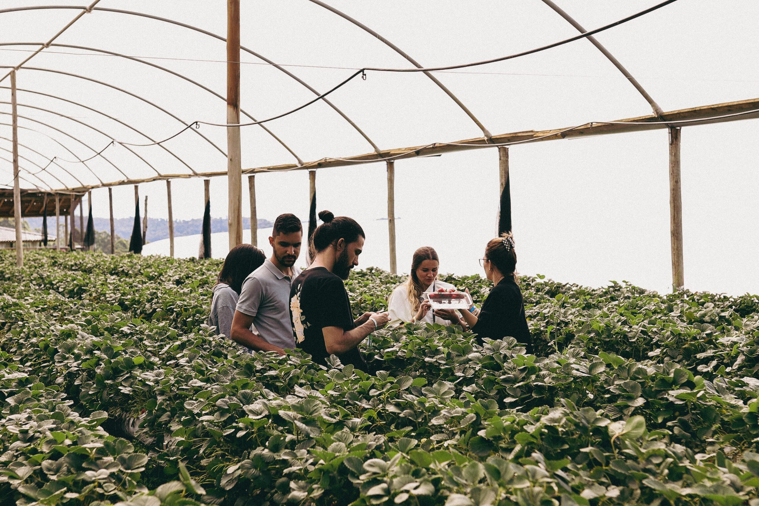 Harnessing Agriculture Trade Shows: Unleashing the Role of Private Sector in Agricultural Development