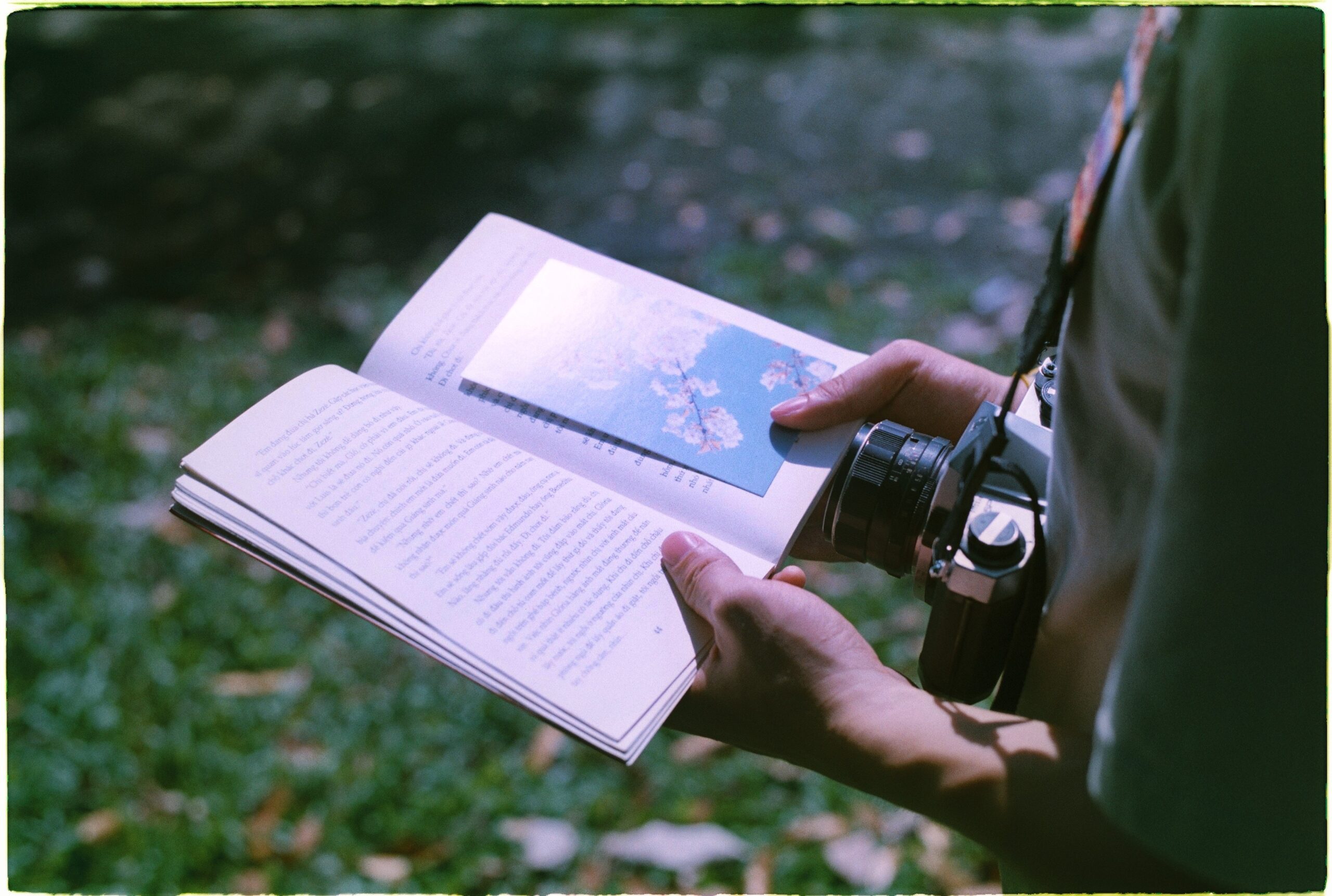 Immersing Yourself in the Pages of History at the Istanbul Book Fair: An Unforgettable Journey