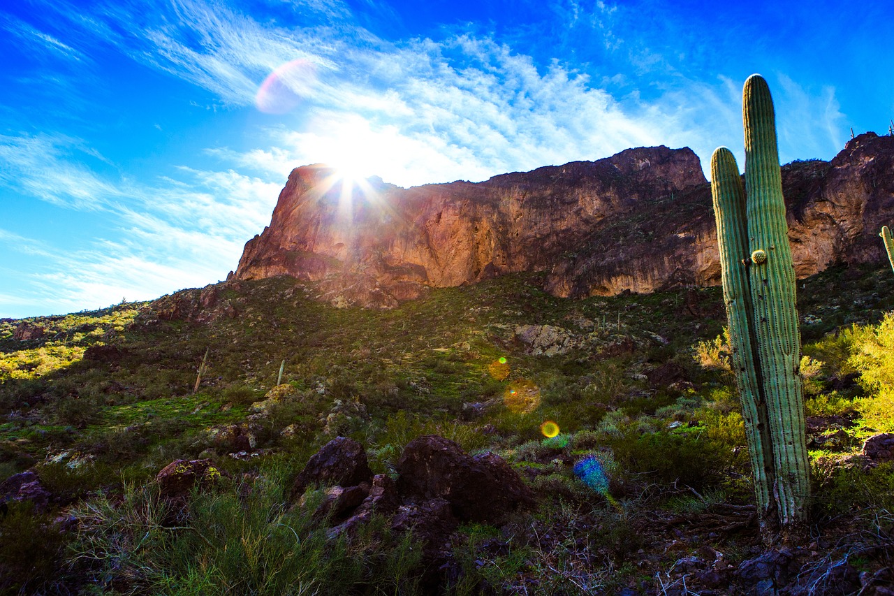 Experience Serenity at Wellness Festival Sun Valley: The Top 10 Health and Wellness Festivals in Southeast Asia