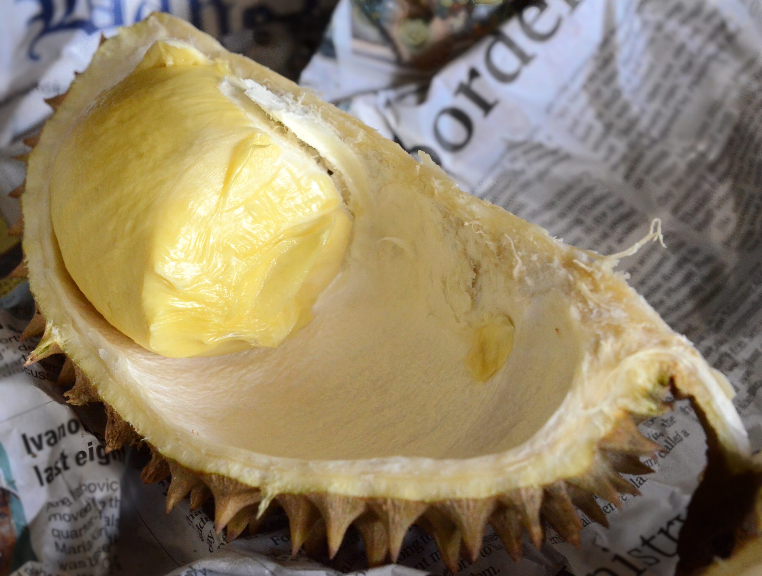 10 Incredible Reasons to Join Thailand’s Durian Festival: A Dive into the King of Fruits