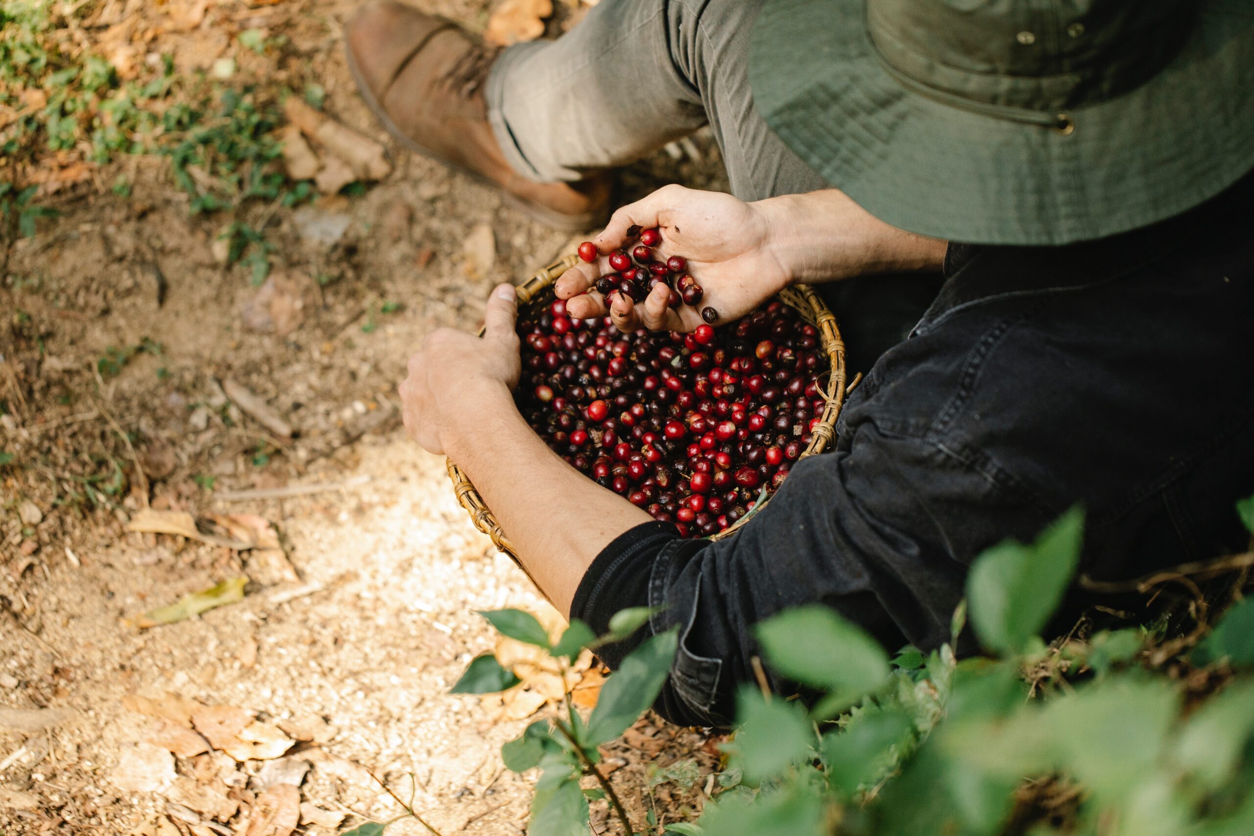 10 Unforgettable Experiences at Guatemala’s Coffee Festivals: Your Ultimate Guide to a Life-Changing Coffee Adventure