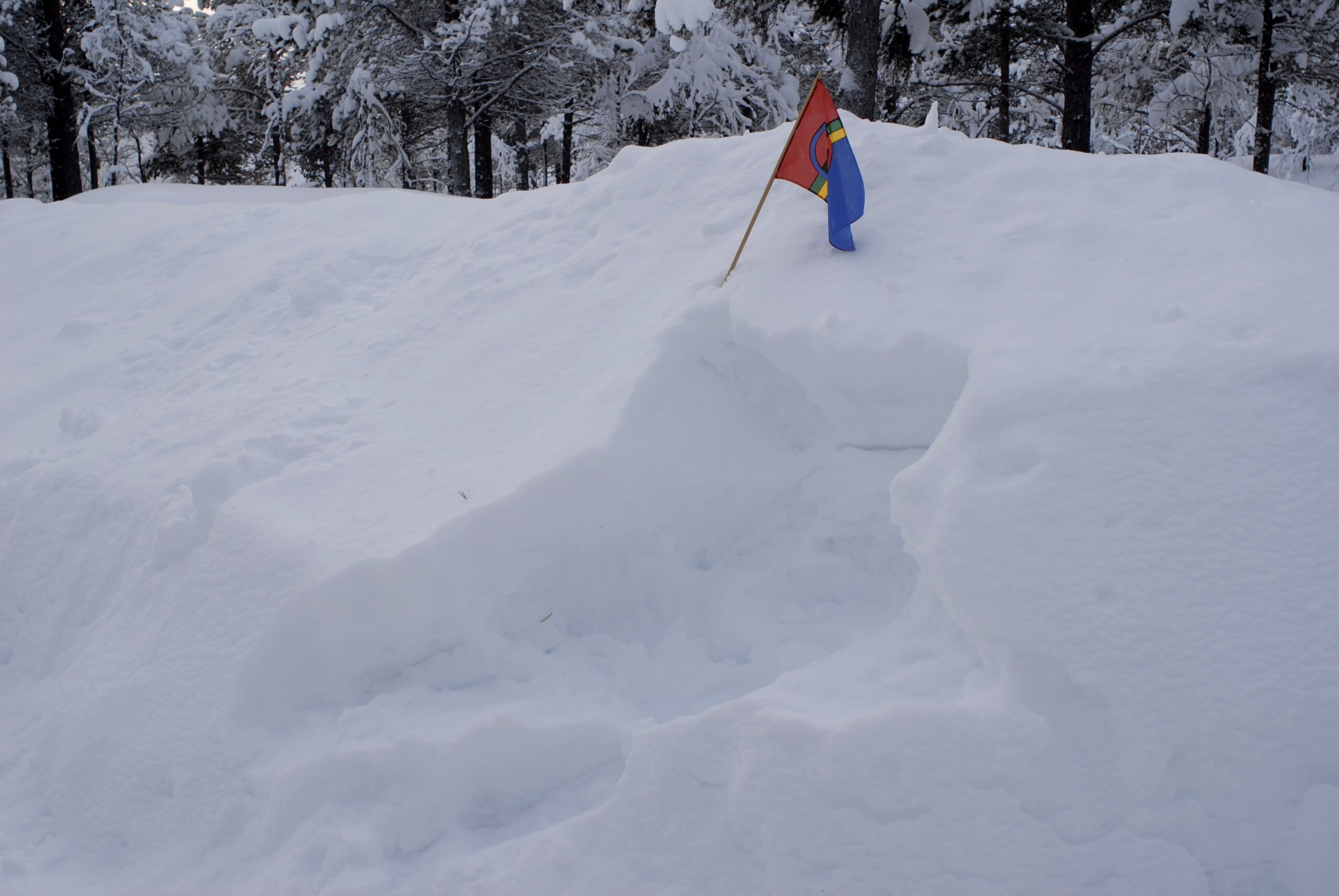 Sami National Day: An Unforgettable Experience of the Northern Lights in Norway